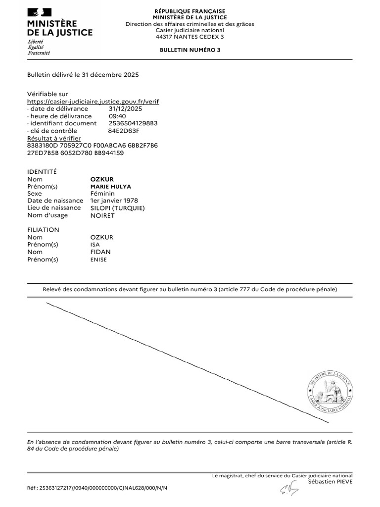 Bulletin n°3 Casier Judiciaire Marie Ozkur | PDF | Union européenne
