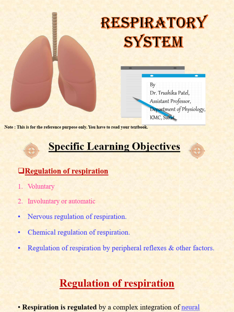 Regulation of Respiration Explained | PDF | Breathing | Exhalation