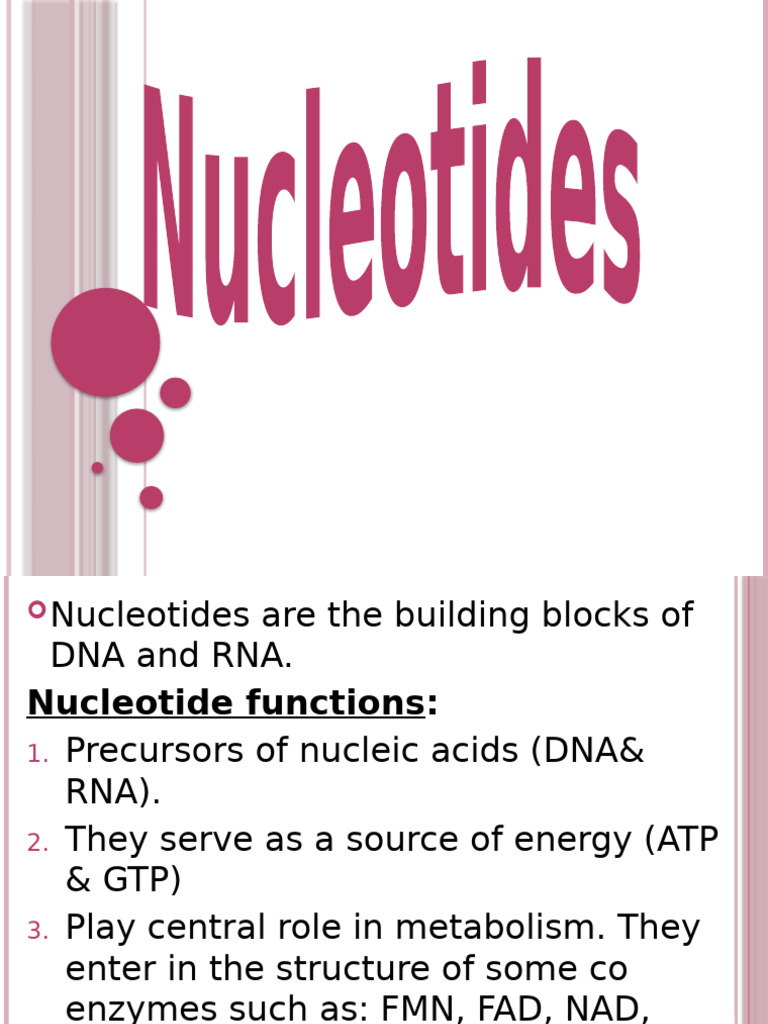 10 Nucleotides and Nucleic Acids | PDF | Rna | Nucleotides