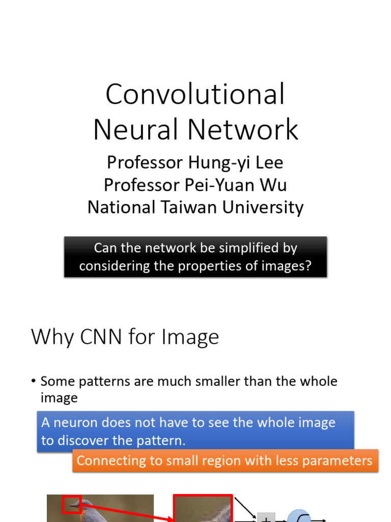 Lecuture 4_CNN | PDF | Computational Neuroscience | Cognitive Science