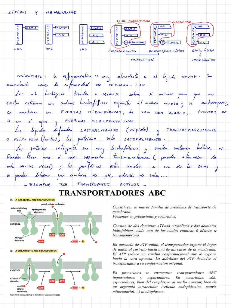 Data Analysis and Encoding Patterns | PDF