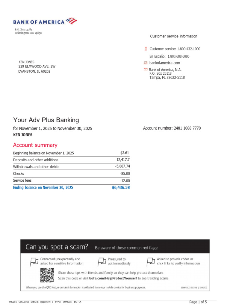 November 2025 Bank Statement Summary | PDF | Banks | Receipt