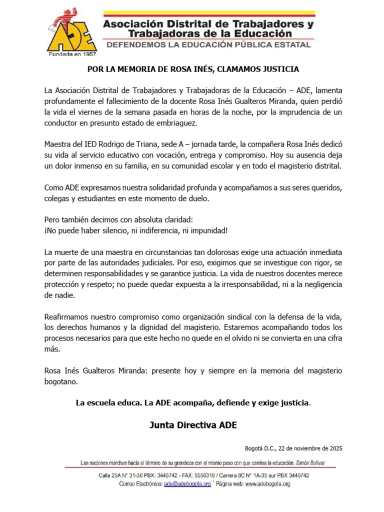 Por La Memoria de Rosa Inés, Clamamos Justicia | PDF