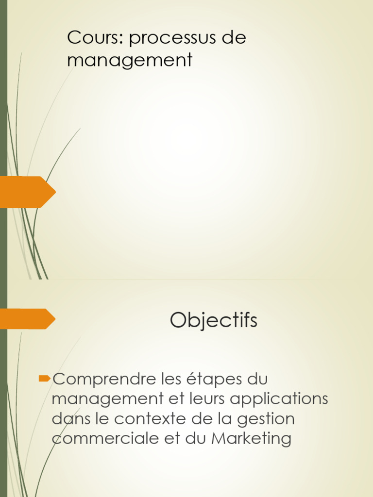 Processus de Management et Décision | PDF | Commercialisation | Option ...