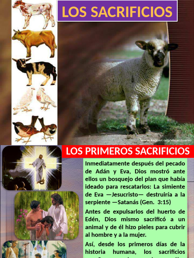 Significado y Evolución de los Sacrificios | PDF | Pecado | Creencia ...