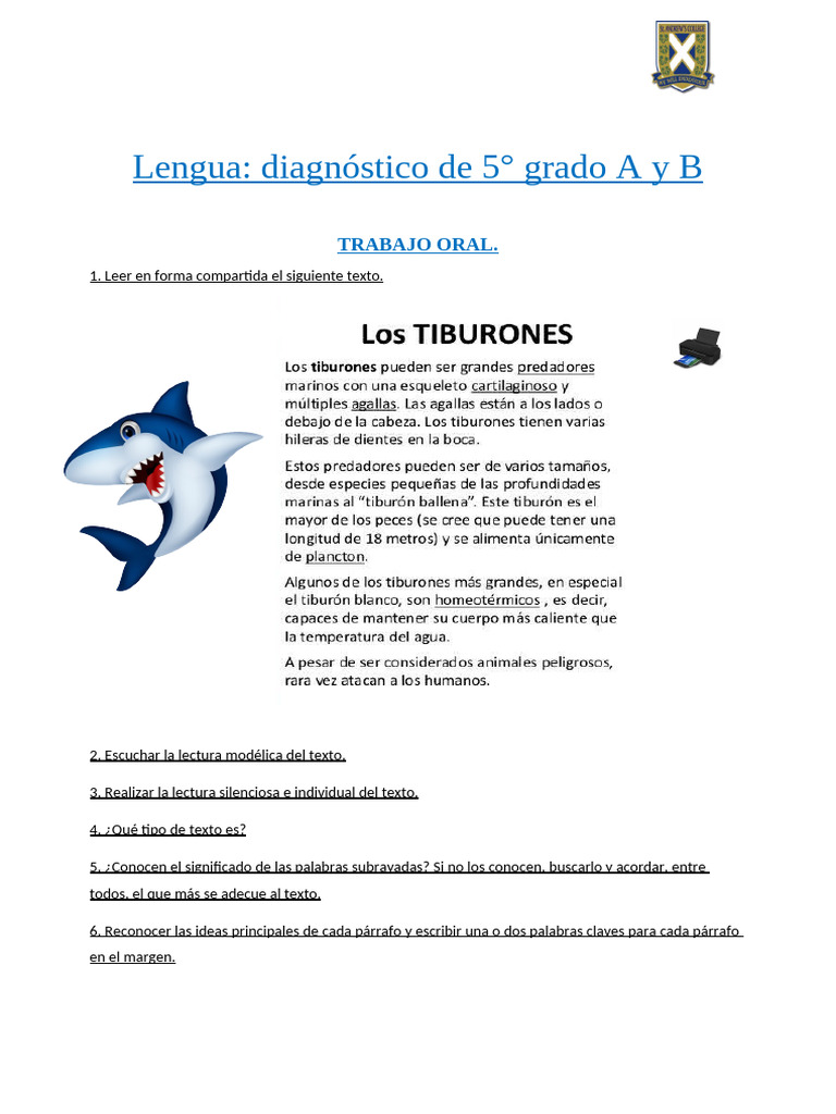 Actividades de Lengua 5° Grado A y B | PDF