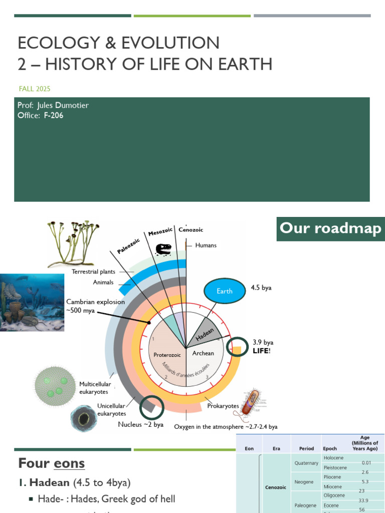 History of Life on Earth Overview | PDF | Prokaryote | Eukaryotes