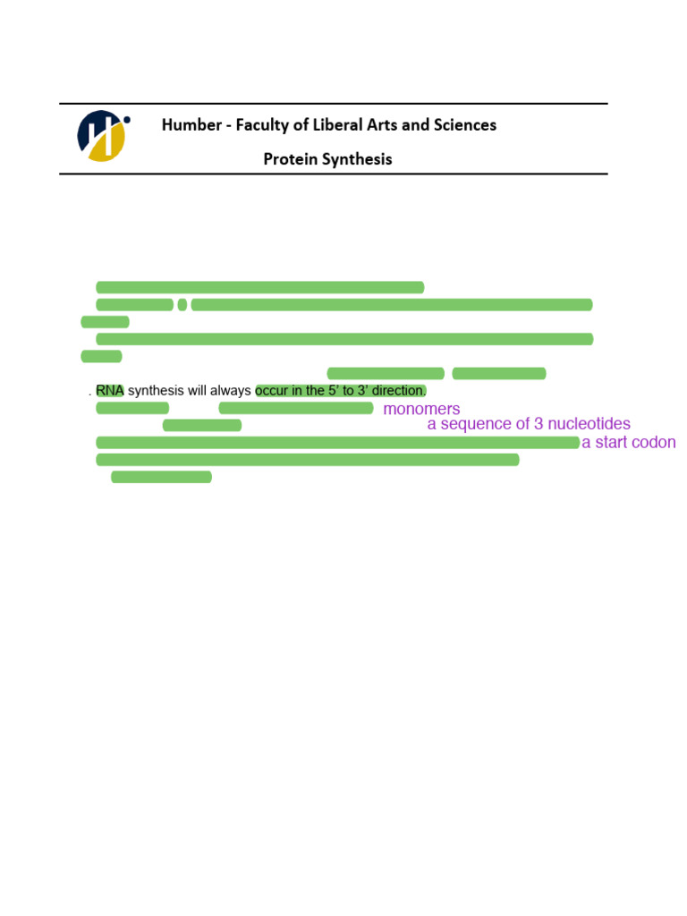 Protein Synthesis Study Guide | PDF | Translation (Biology) | Messenger Rna