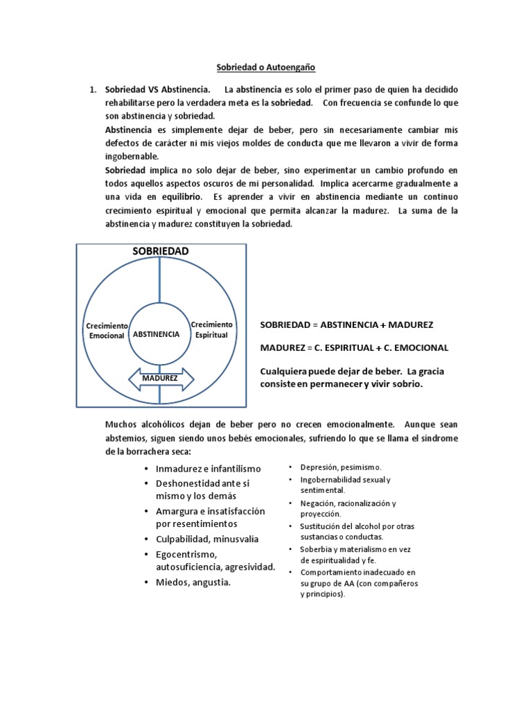 Token Sobriedad Verano Moneda Sobriedad 7 Meses Verano - Chip AA Tree Of  Life Serenity Prayer Medallon AA Recuperacion, image size:768x1024