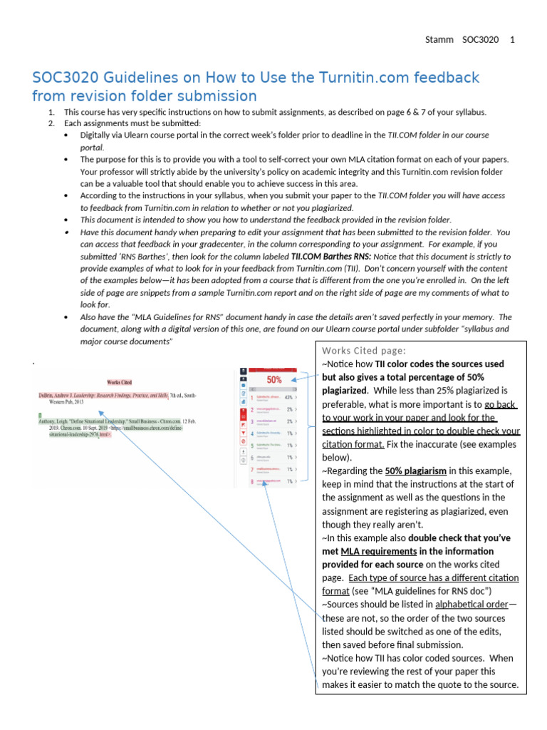 Turnitin.com Feedback Guide for SOC3020 | PDF | Turnitin | Citation