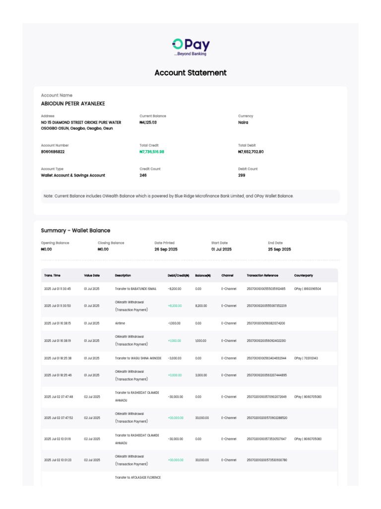 Wallet Account Statement Summary | PDF | Debit Card | Personal Finance