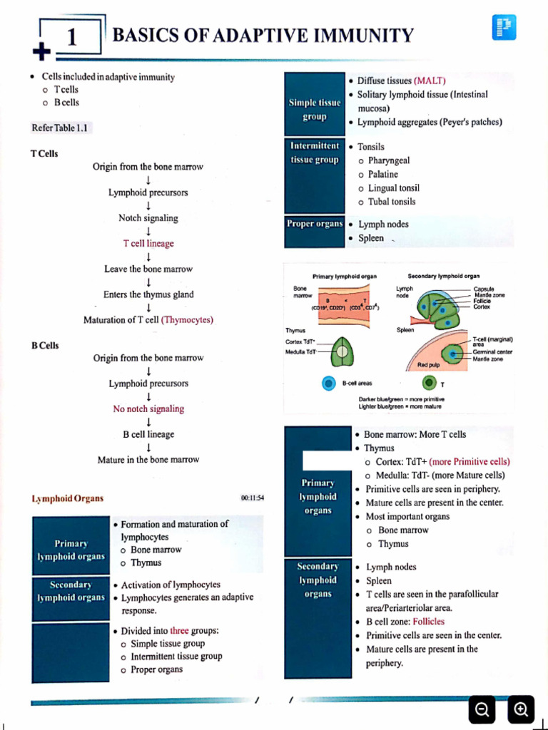 Prepladder SS Medicine - Immunology | PDF