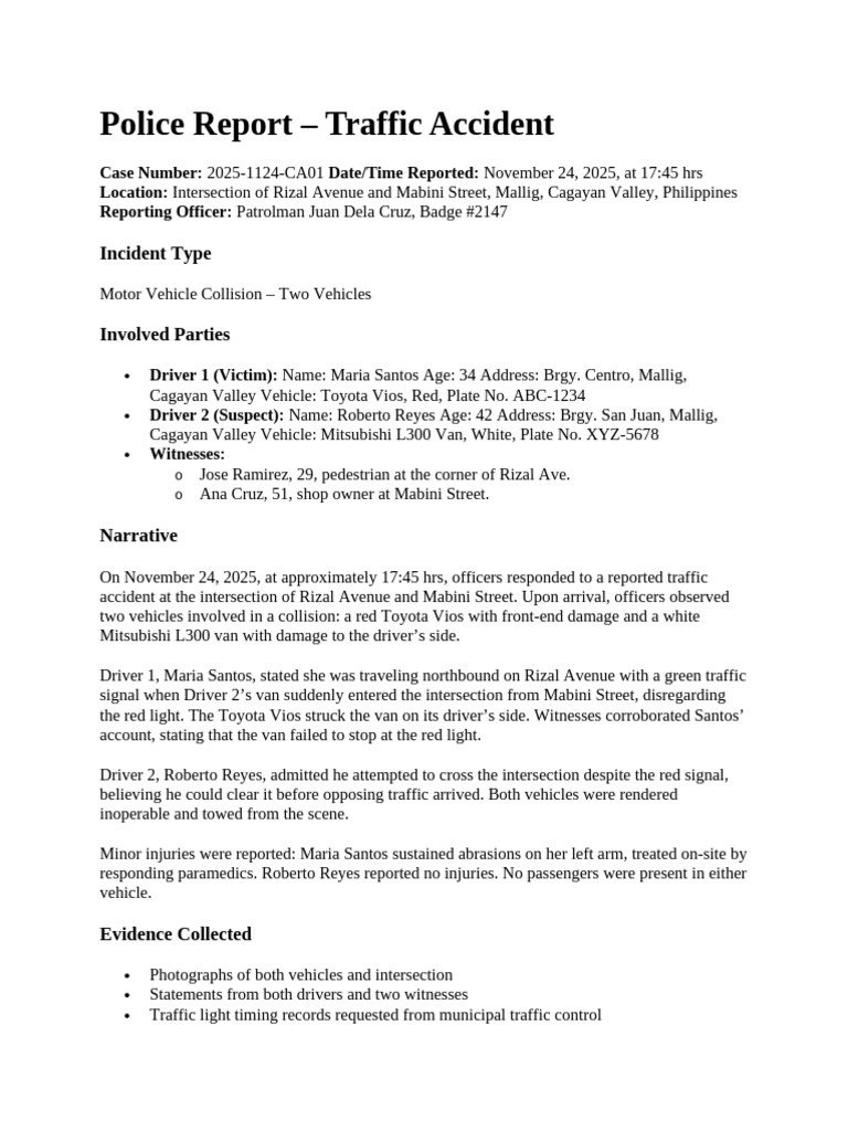 Traffic Accident Report: Mallig Collision | PDF