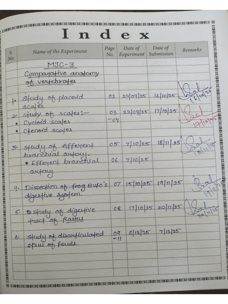 MJC 3 Practical | PDF