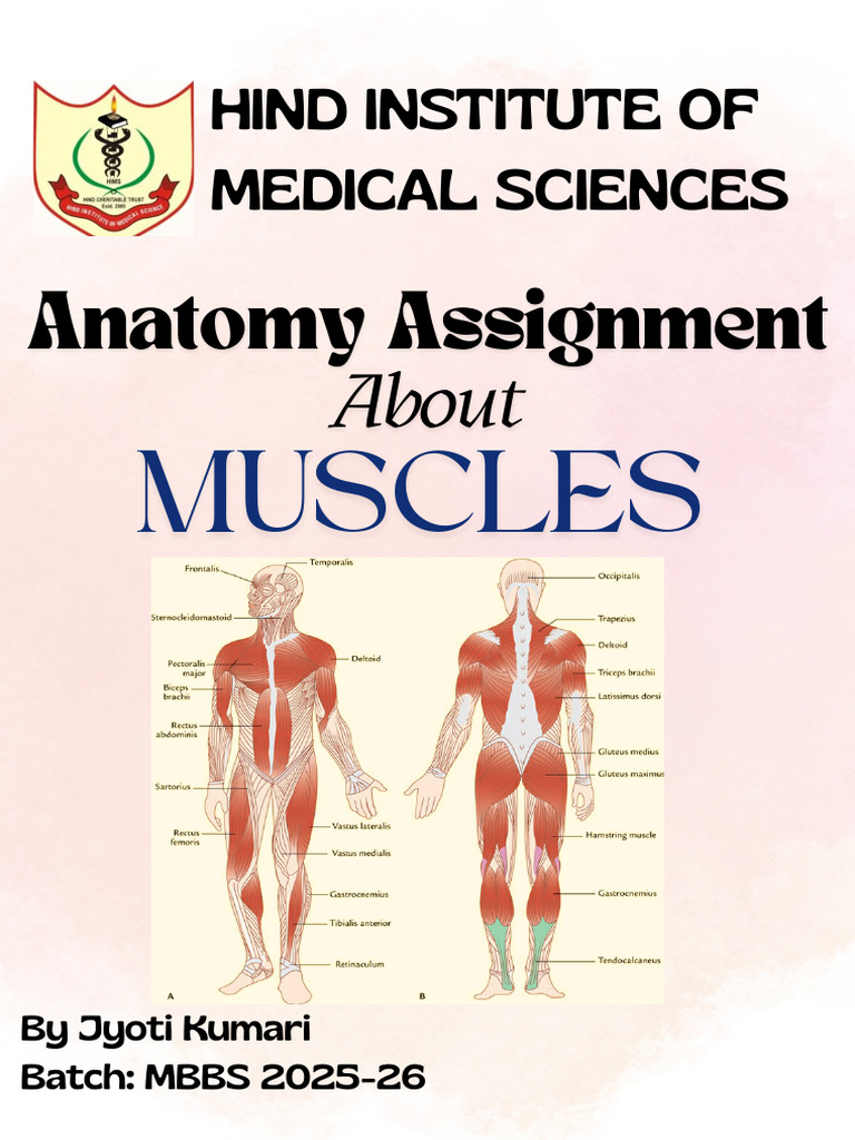 Hind Institute of Medical Sciences: Anatomy Assignment | PDF