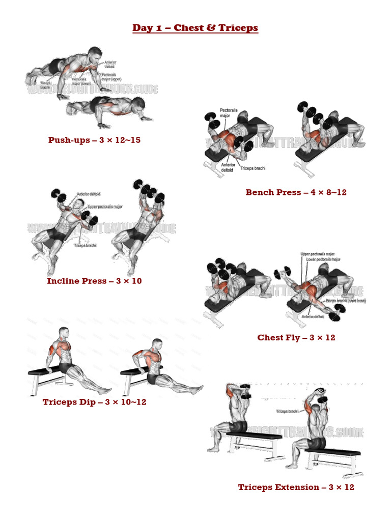 5-Day Workout Plan: Strength & Cardio | PDF