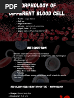 Labeled Diagram of Red Blood Cells | PDF | Red Blood Cell | Blood
