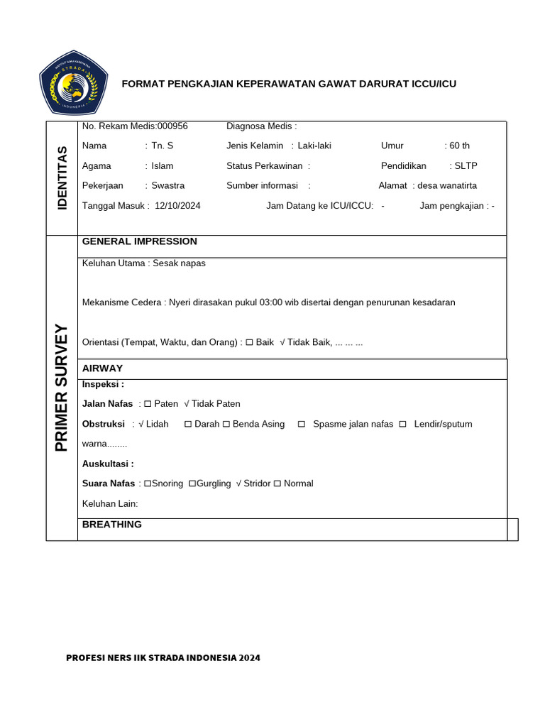Format Pengkajian Icu Haris Munandar | PDF