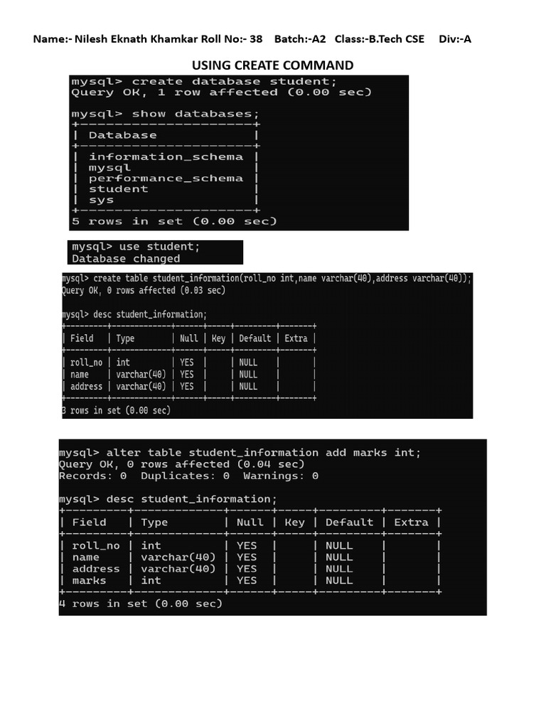 SQL Commands Overview for B.Tech CSE | PDF