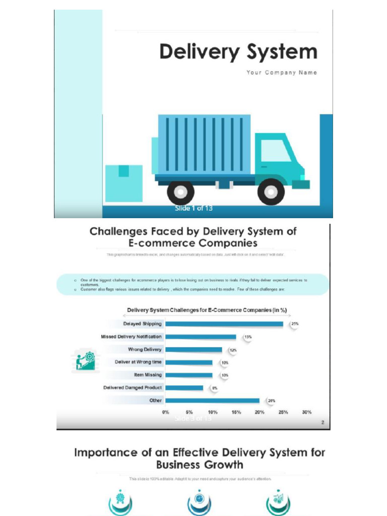 Delivery System | PDF