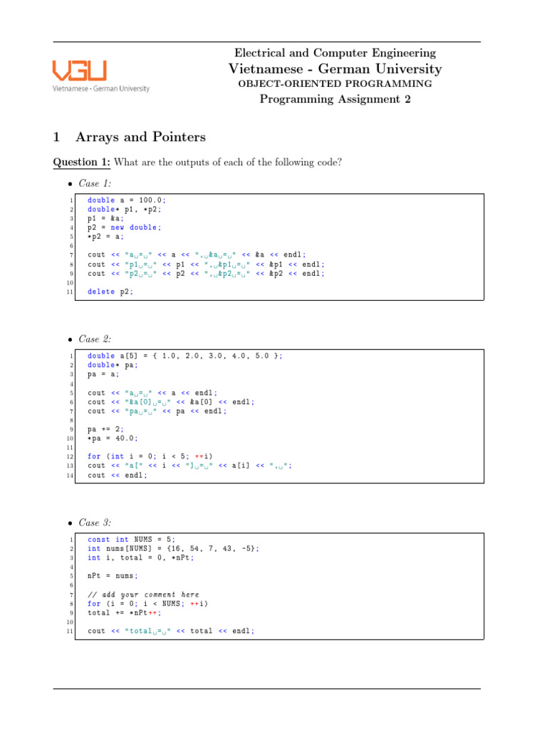 C++ Programming Assignment on Pointers | PDF | Pointer (Computer ...