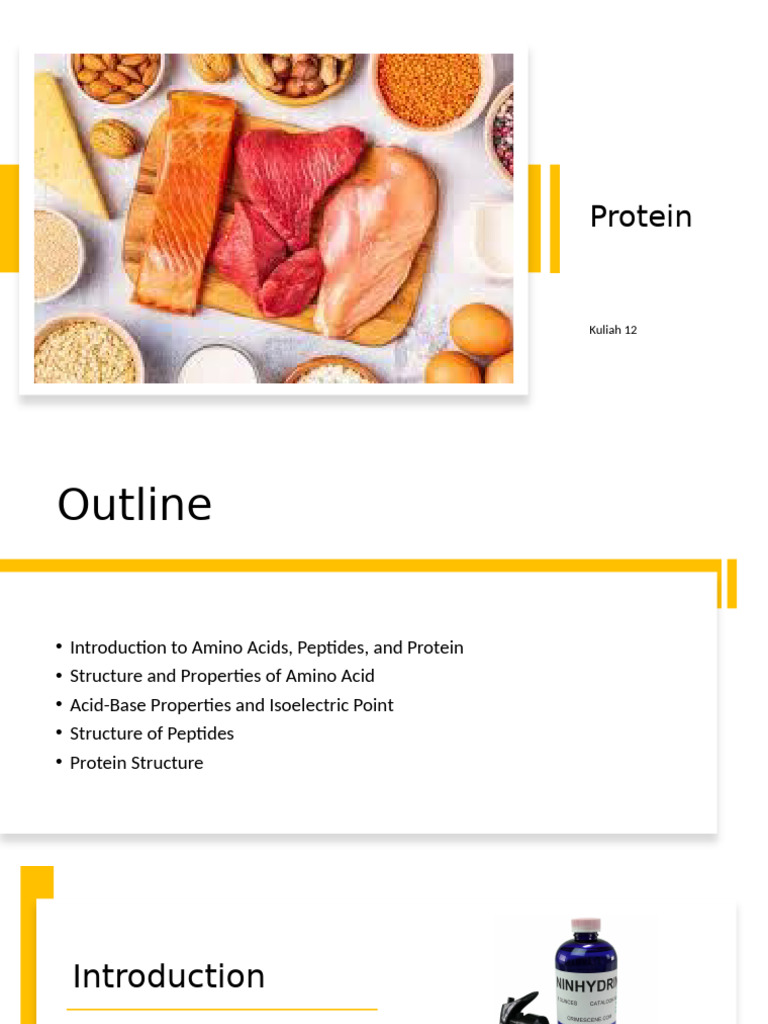 Protein | PDF