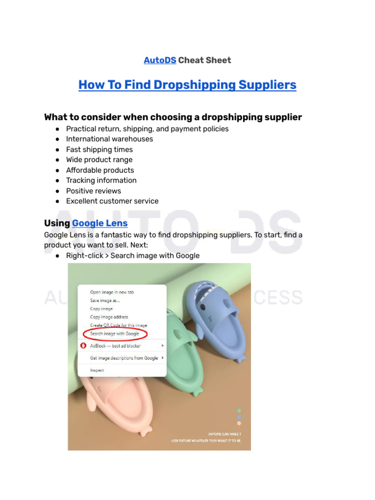 Top Dropshipping Suppliers Guide | PDF