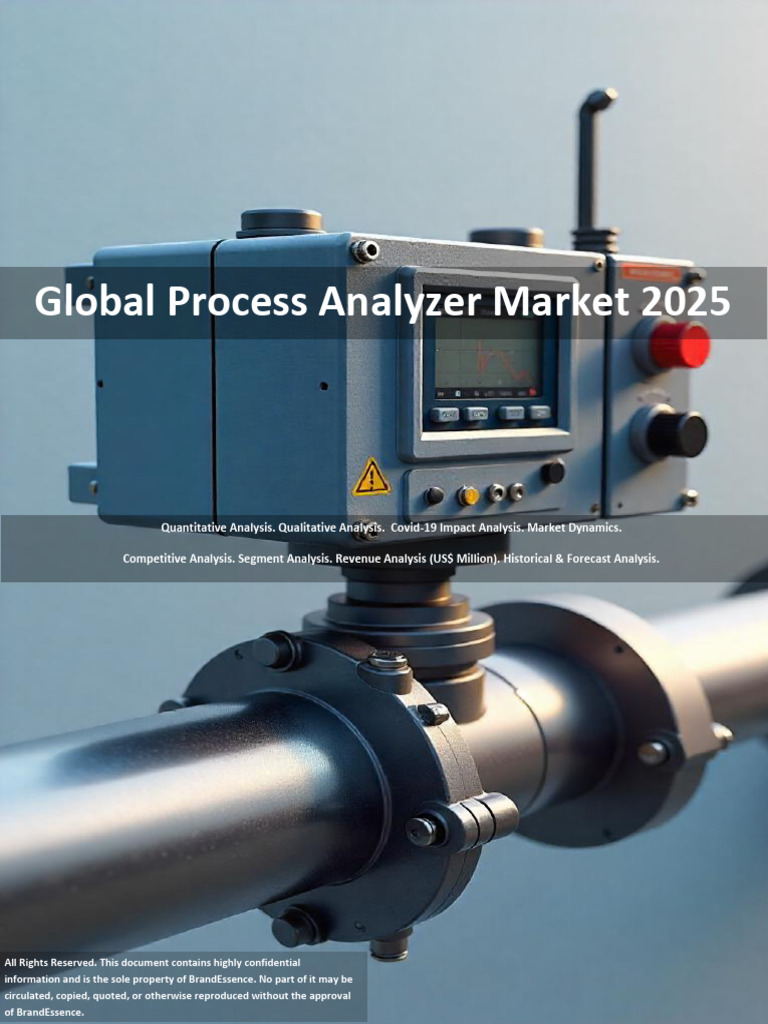 Global Process Analyzer Market Insights 2025 | PDF | Marketing Research ...