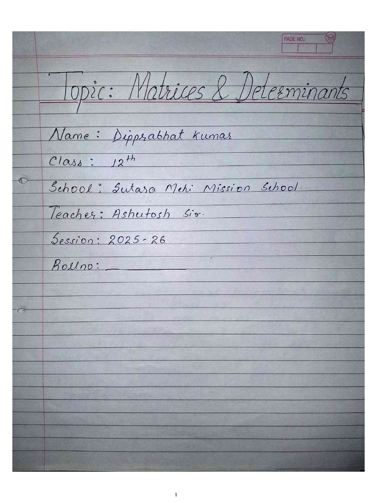 Maths Project | PDF