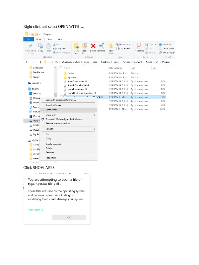 Fixing AMOS Plugin Loading Errors | PDF