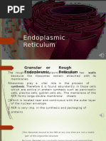 SER vs RER: Functions and Differences | PDF | Endoplasmic Reticulum ...