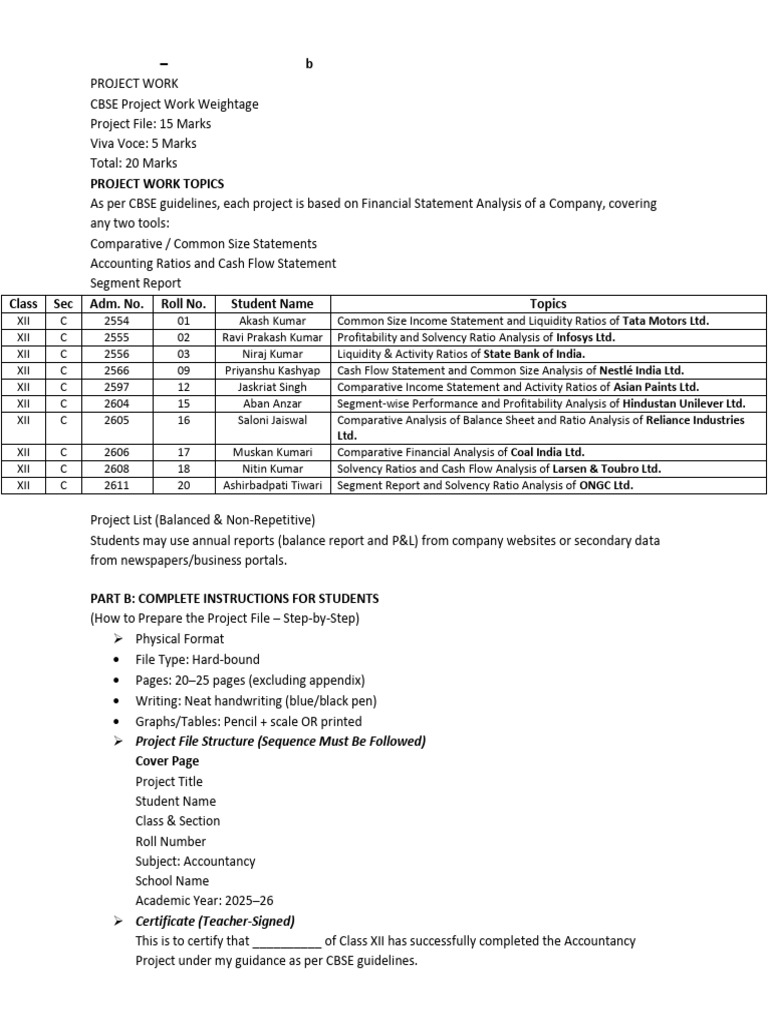 CBSE Class 12 Accountancy Project Guide | PDF