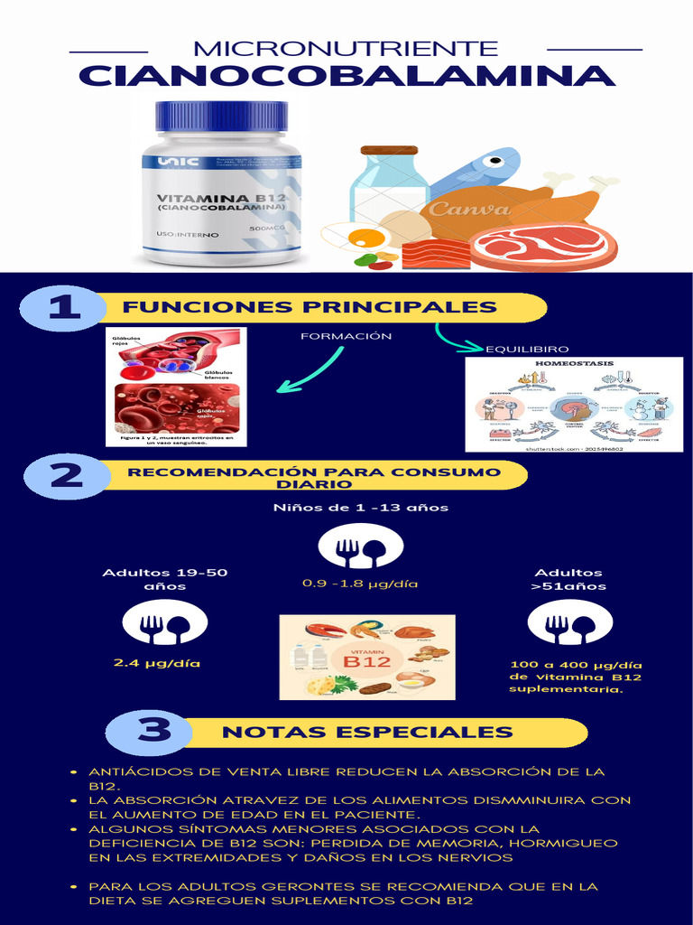 Cianocobalamina: Funciones y Recomendaciones | PDF