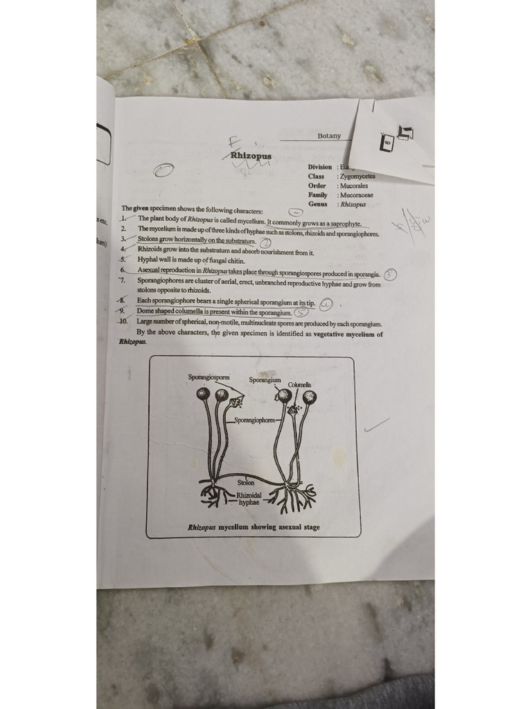 Bot Manual | PDF