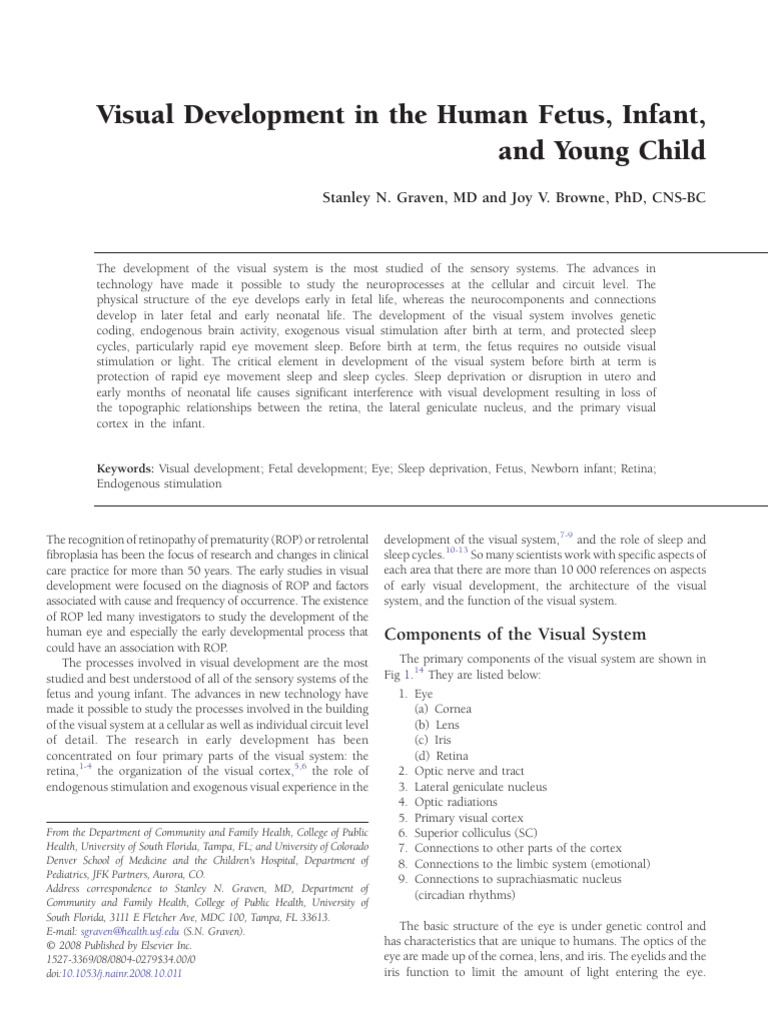 Visual Development in Fetus and Infants | PDF | Visual System | Retina