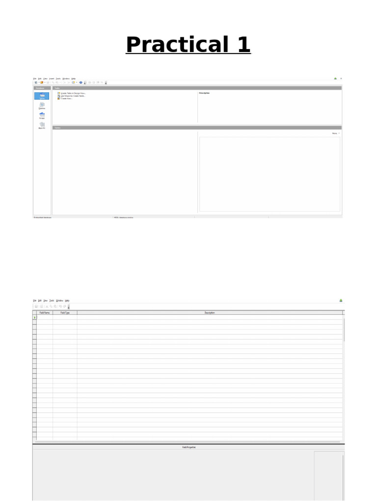 Practical 1 Documentation Aryan | PDF