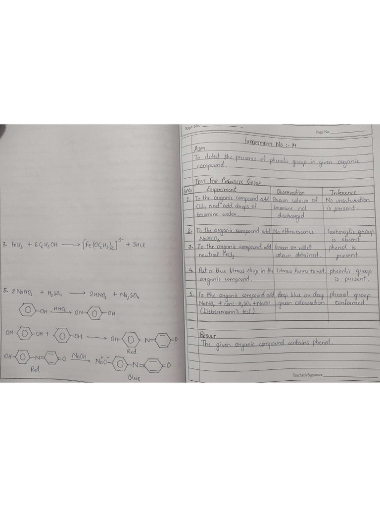 Functional Group Phenol | PDF