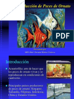 Producción de Peces de Ornato