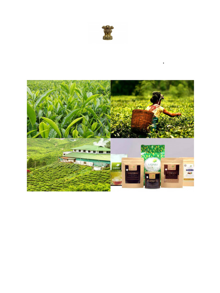 Assam Tea Statistics Report 2023 | PDF | Tea | Leaf
