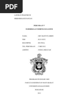 Download 5 pemeriksaan morfologi jamur by Marina Elsera SN97631338 doc pdf