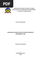 Carlos Estrela Brito-EADensino Superior