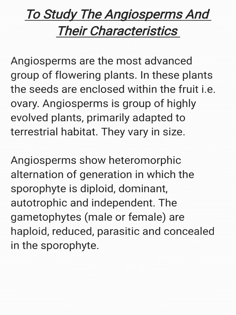 To Study The Angiosperms and Their Characteristics - 250909 - 151212 | PDF