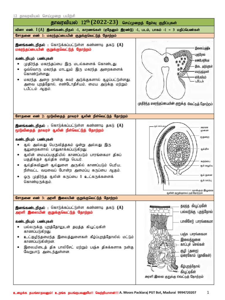 12th Grade Study Guide 2022-23 | PDF