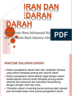 Saluran Dan Peredaran Darah