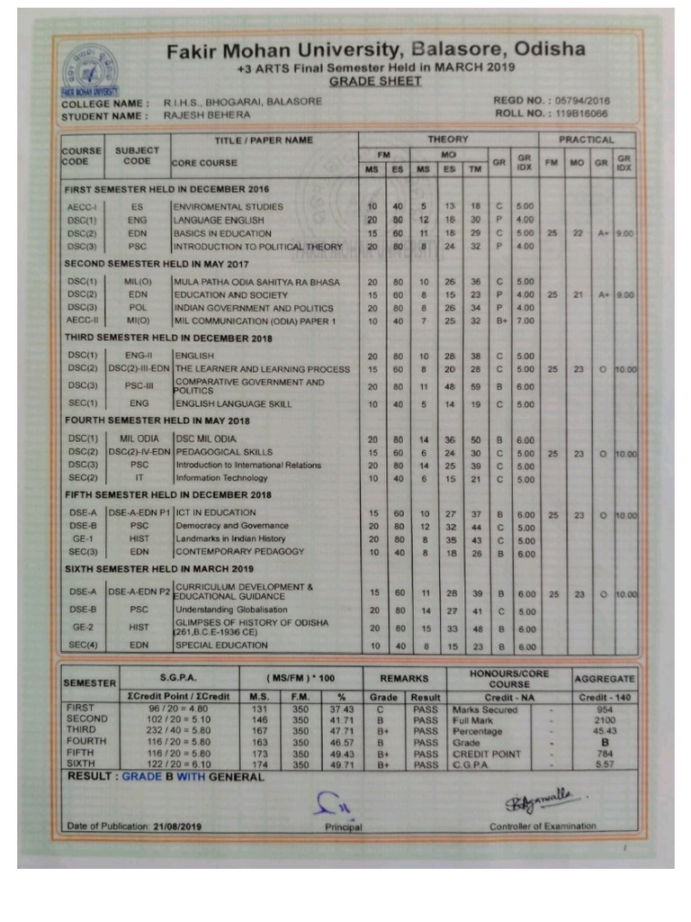 Raja's Plus 3 Certificate | PDF