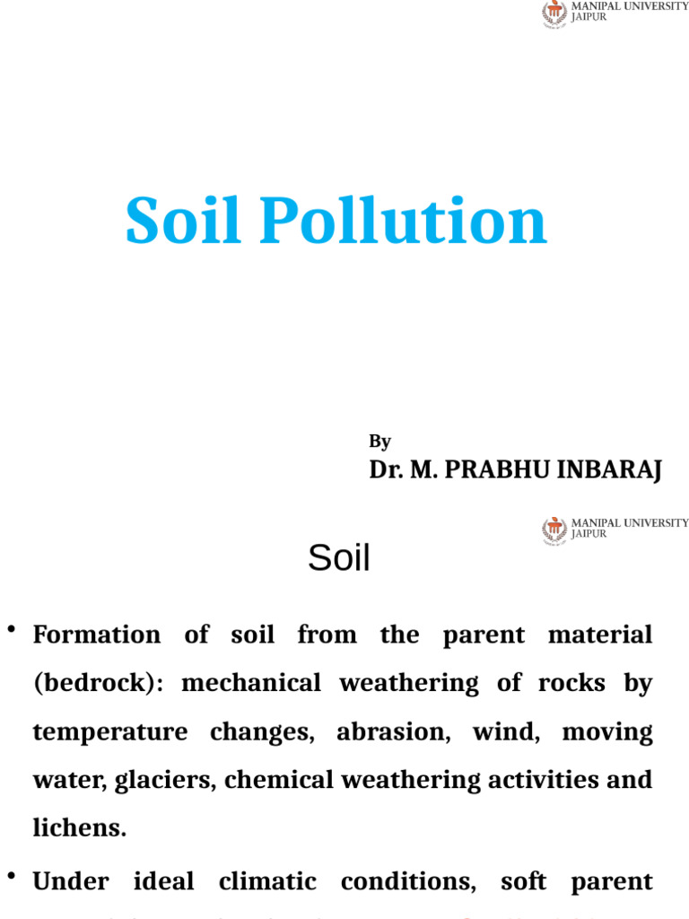 Understanding Soil Pollution and Bioremediation | PDF | Soil | Landfill