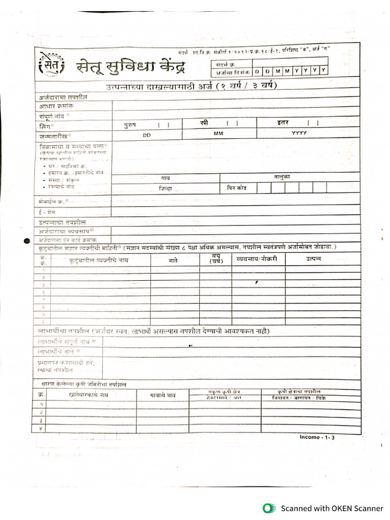Income Form | PDF