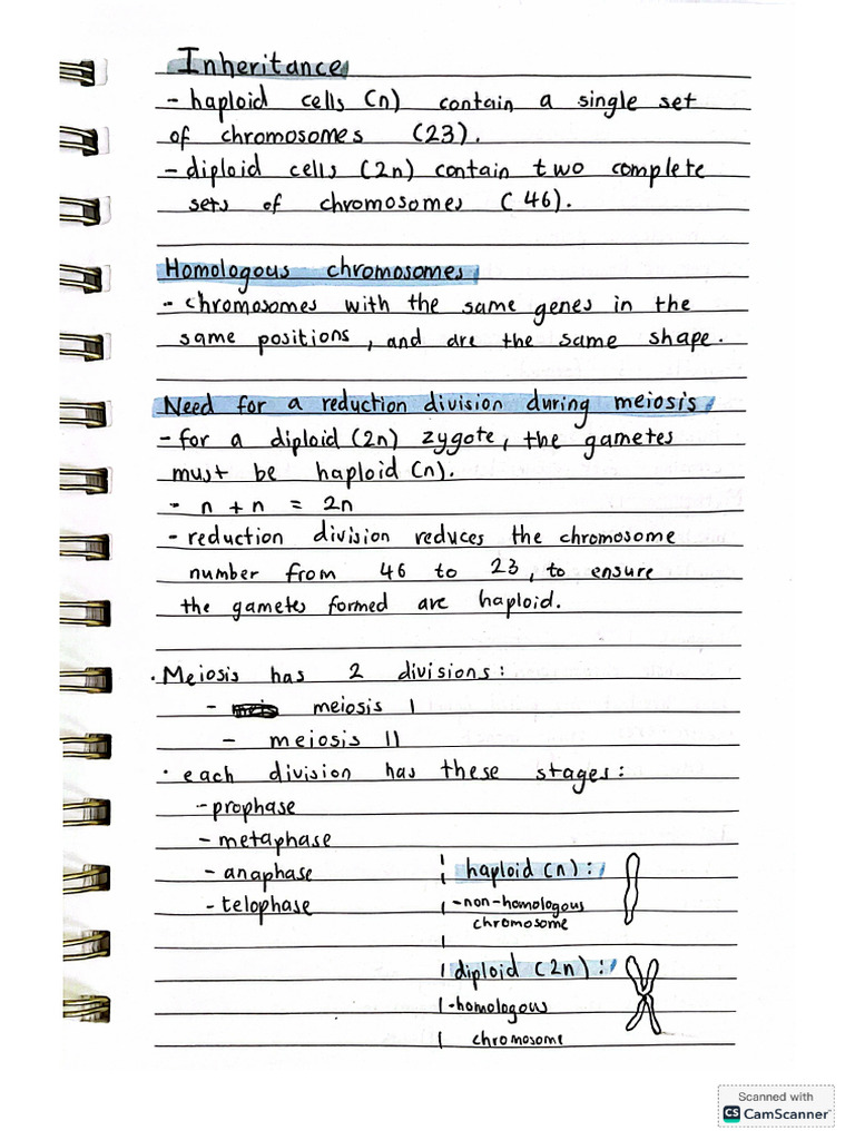 Inheritance Notes | PDF