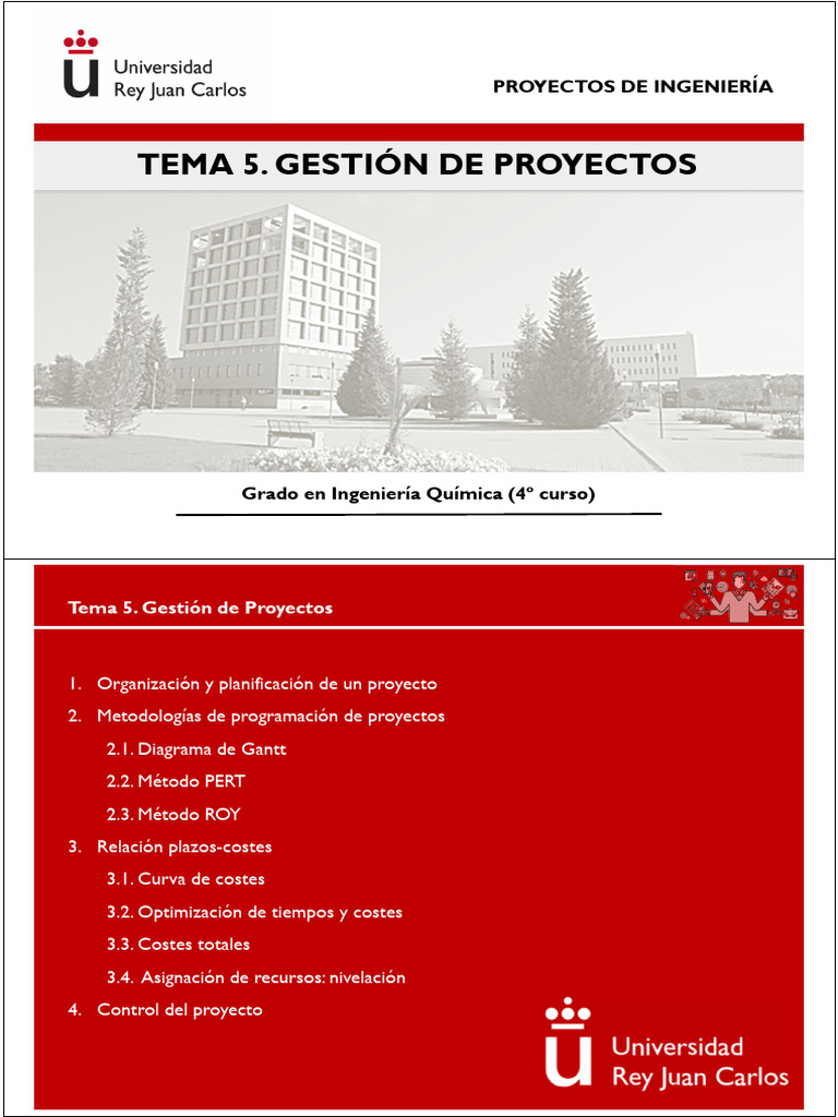 Gestión de Proyectos en Ingeniería | PDF | Gestión de proyectos