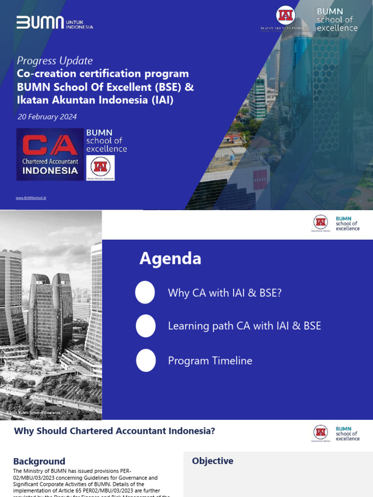 CA Certification Program for BUMN Executives | PDF | Business Economics ...